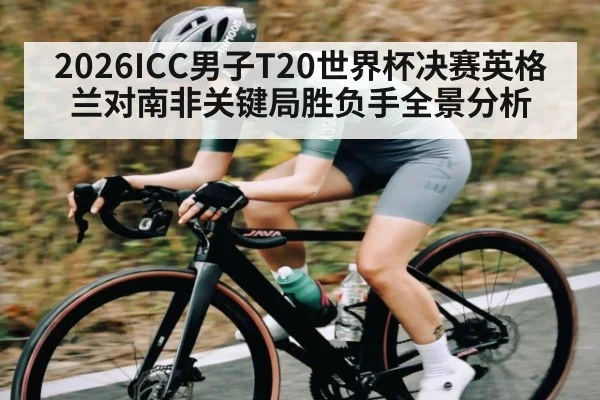 2026ICC男子T20世界杯决赛英格兰对南非关键局胜负手全景分析